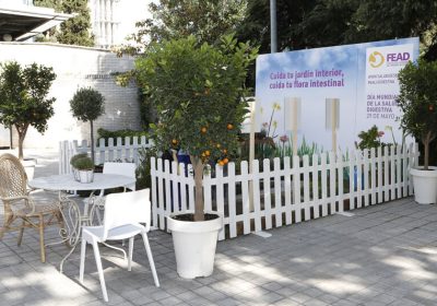jornadas fead